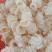 鲨鱼肠
