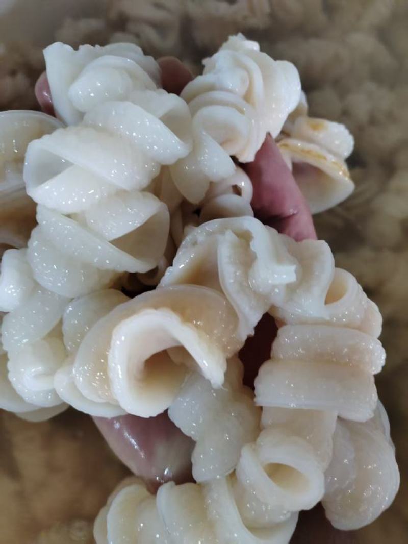 鲨鱼肠