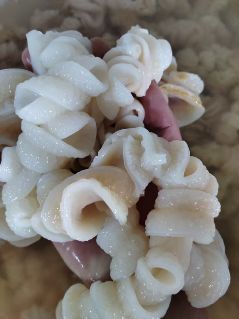 鲨鱼肠