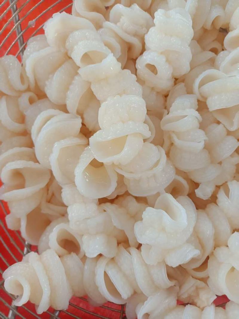 鲨鱼肠