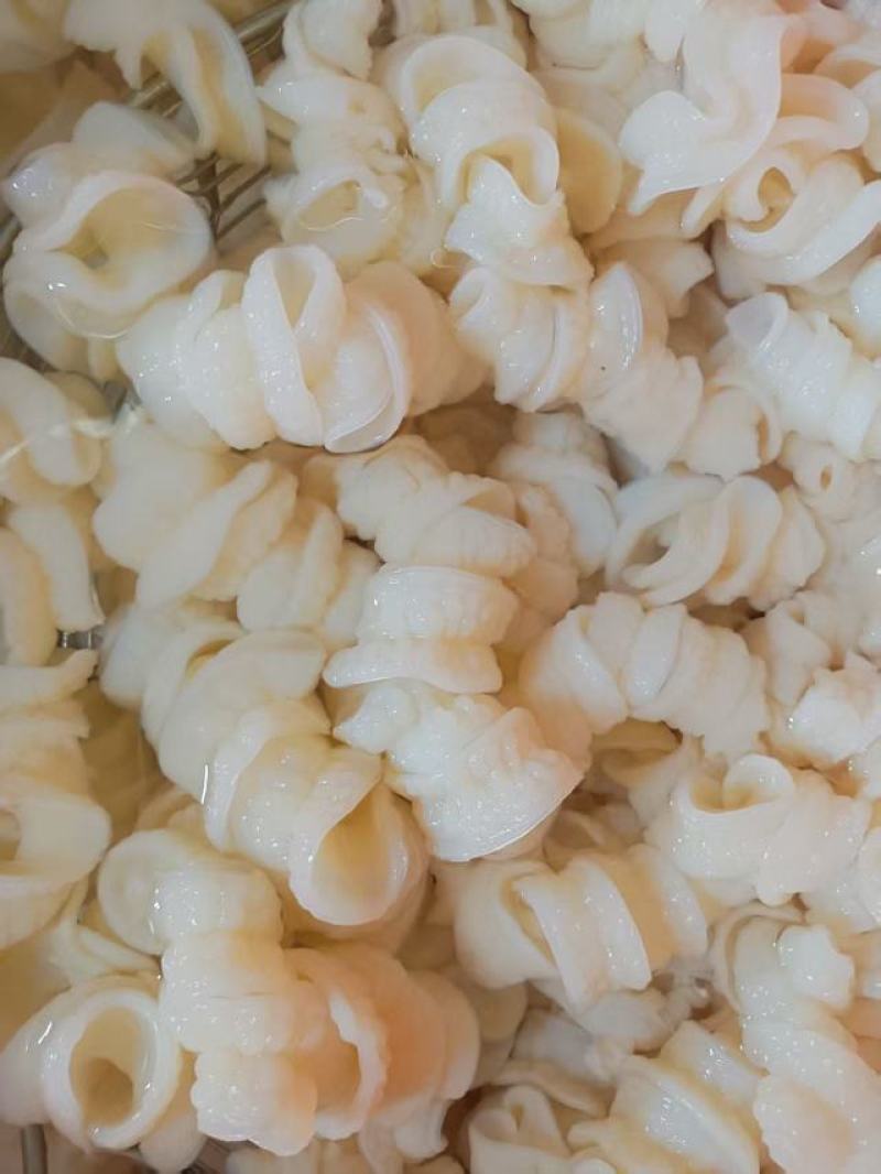 鲨鱼肠