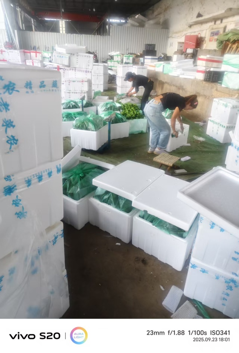 产地直供，量大从优支持视频看货欢迎电话洽谈