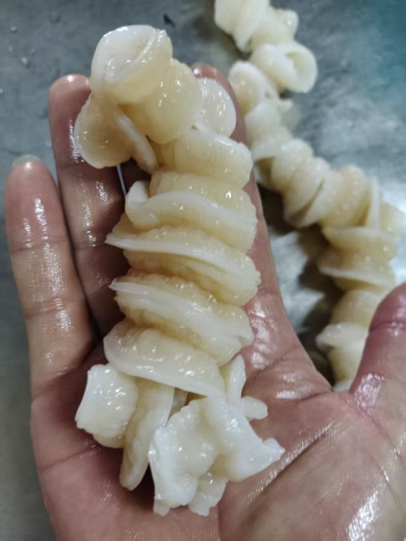 鲨鱼肠