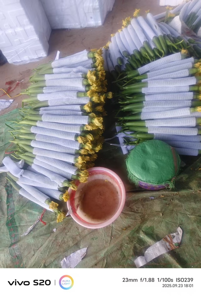 产地直供，量大从优支持视频看货欢迎电话洽谈