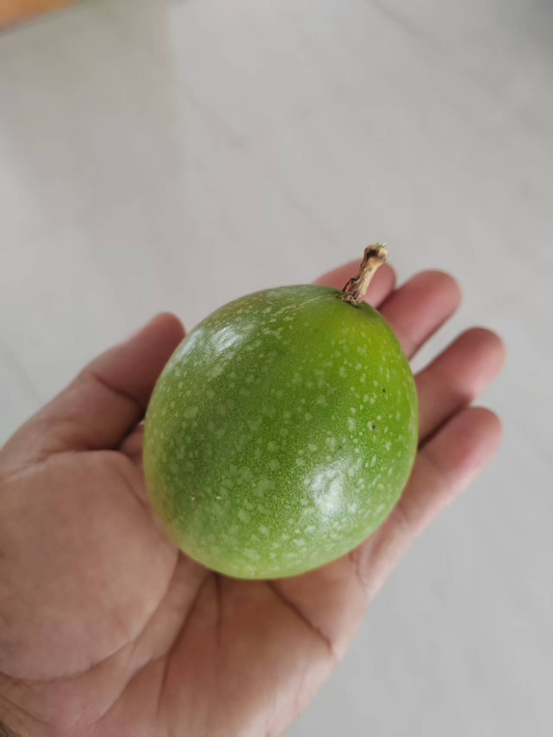 钦密9