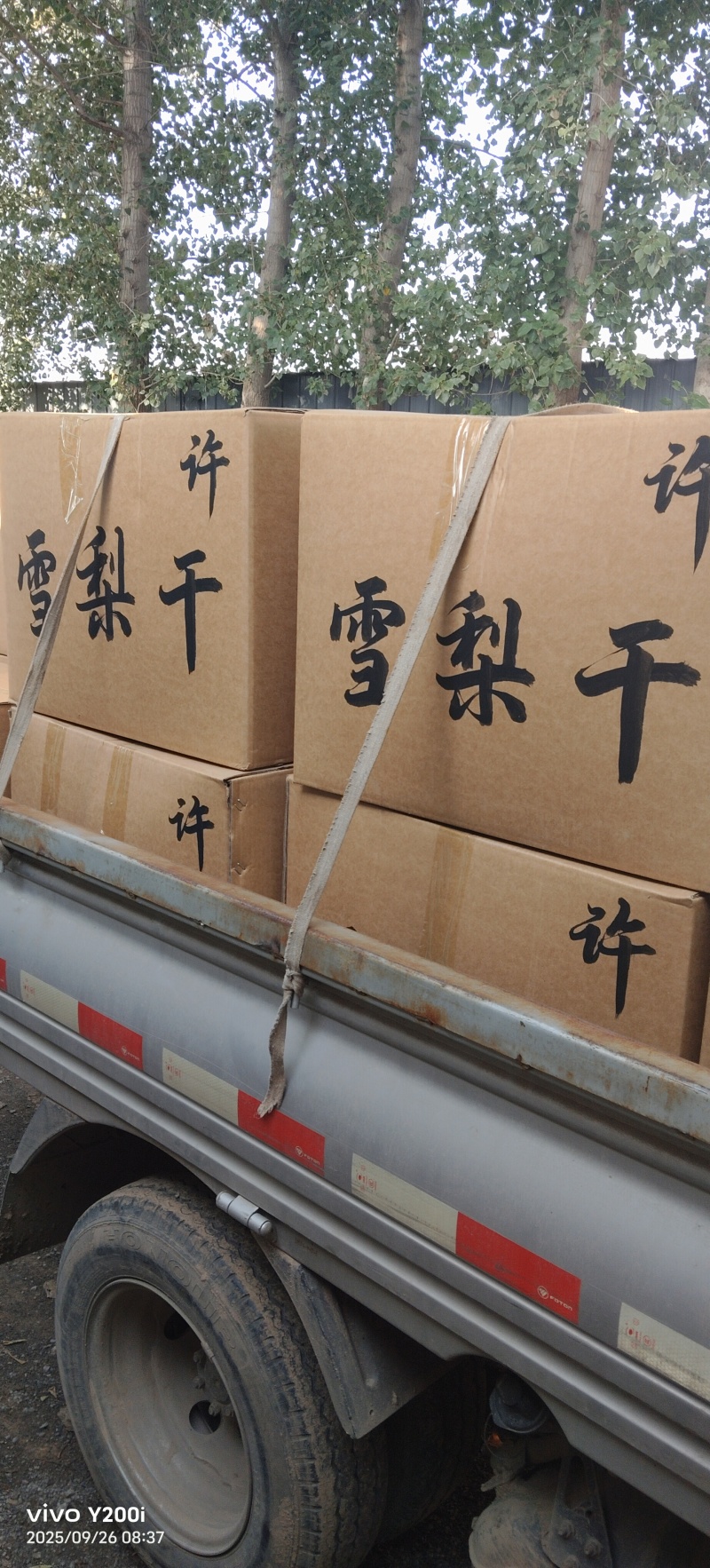 雪梨干梨干2025年新梨干上市一手货源厂家直供量大从优