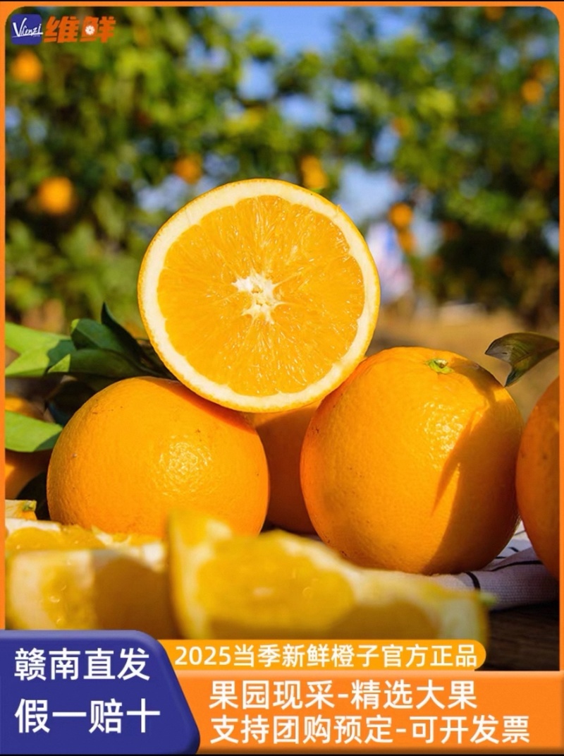 赣南脐橙