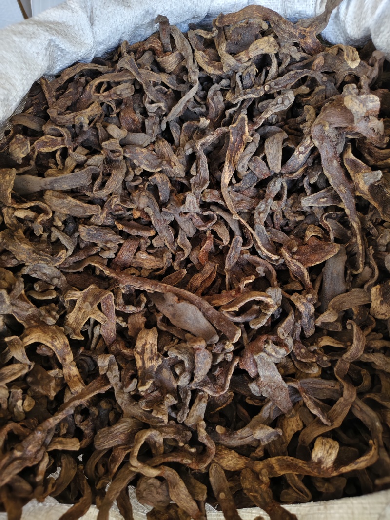 骨碎补干净无杂质骨碎补批发零售量大从优