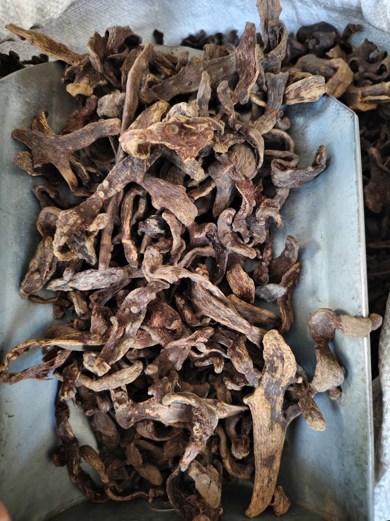 骨碎补干净无杂质骨碎补批发零售量大从优