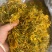 湖南山银花