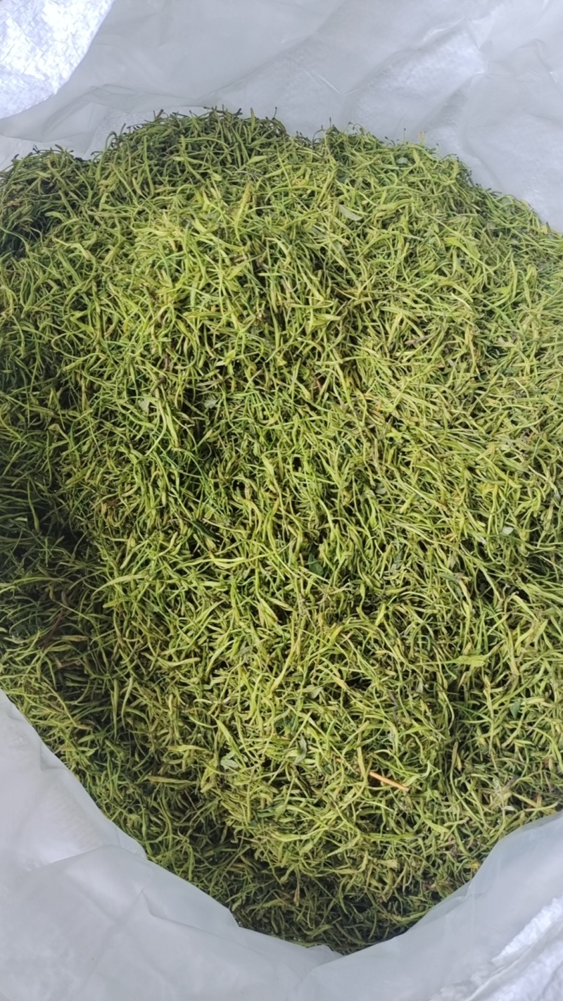 湖南山银花