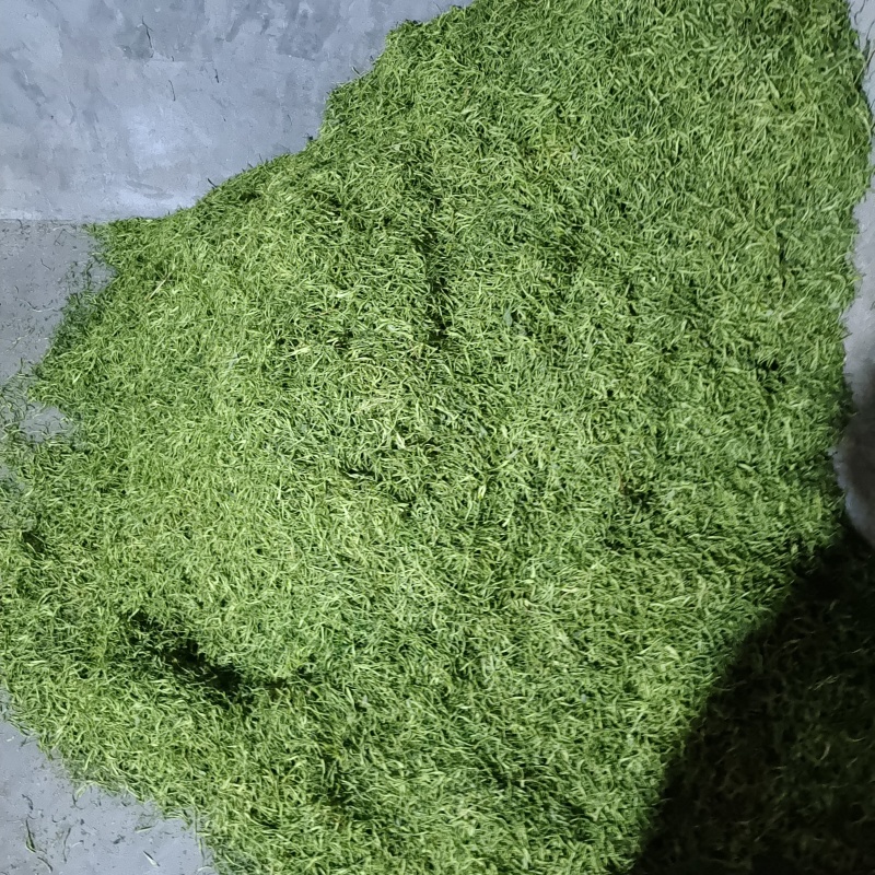 湖南山银花