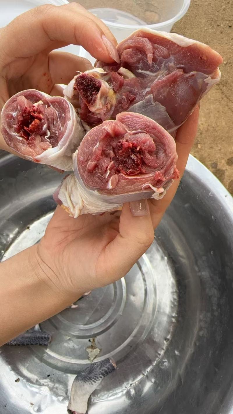 御农乡家庭农场，共享养鸡模式，认养活鸡，每月供鸡蛋