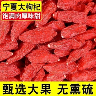 宁夏枸杞/质量保证/放心购买/亳州药材市场老店铺