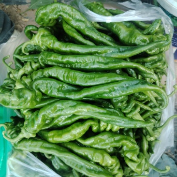 螺丝椒，王中王豆角