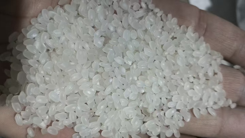 东北珍珠米