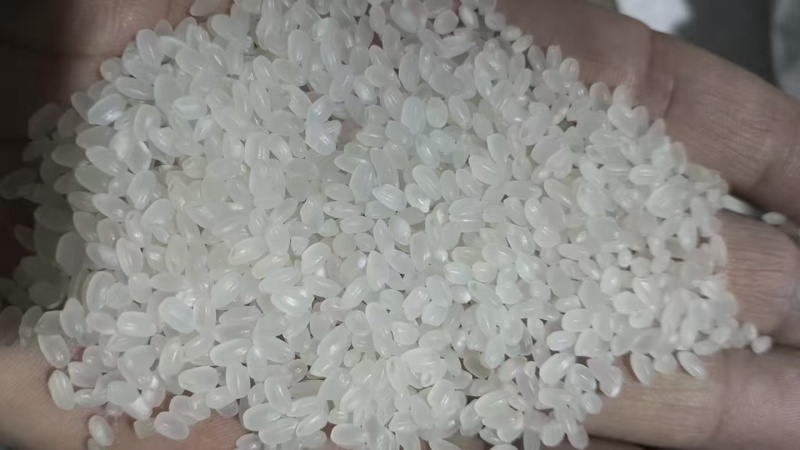 东北珍珠米