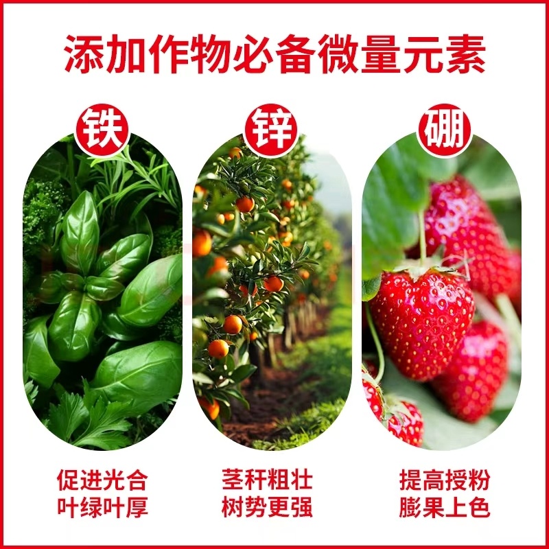 云南农盛多元素硫镁二铵特别添加硫镁钙中微量元素效果加倍