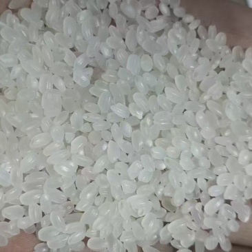 东北珍珠米