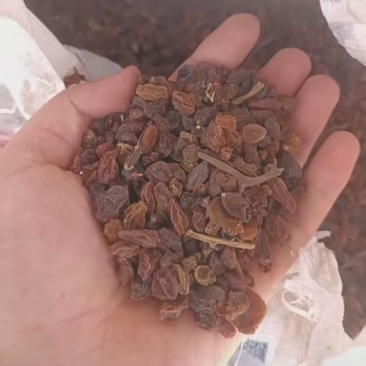 东南亚葡萄干甜而不腻口感丰富源头工厂工厂直销