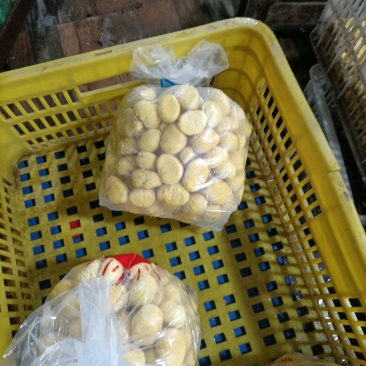 板栗仁，河南信阳罗山板栗仁，质量**，都是经过人工筛选