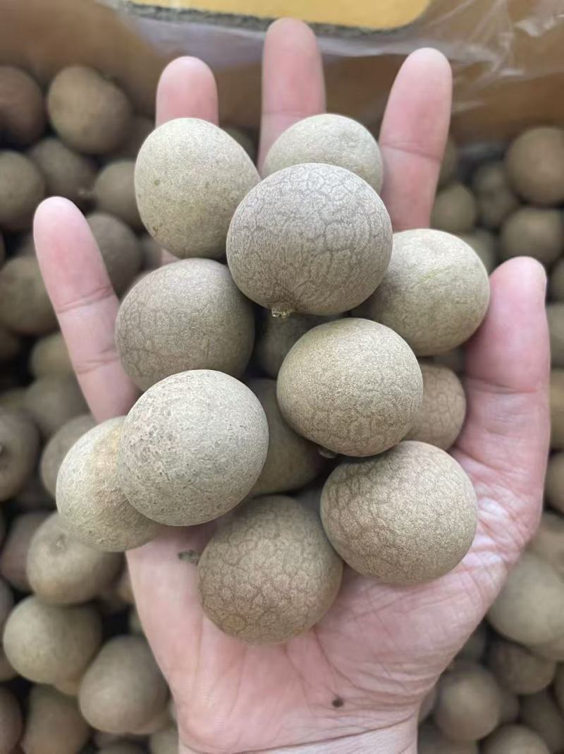 新货大颗粒原装进口泰国桂圆干原味散装整箱批发量大优惠