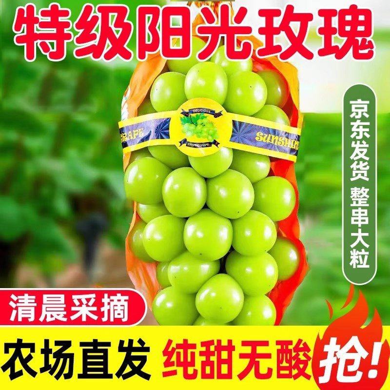 阳光玫瑰葡萄，甜度高，价格便宜个头大颗粒饱满，电商，超市