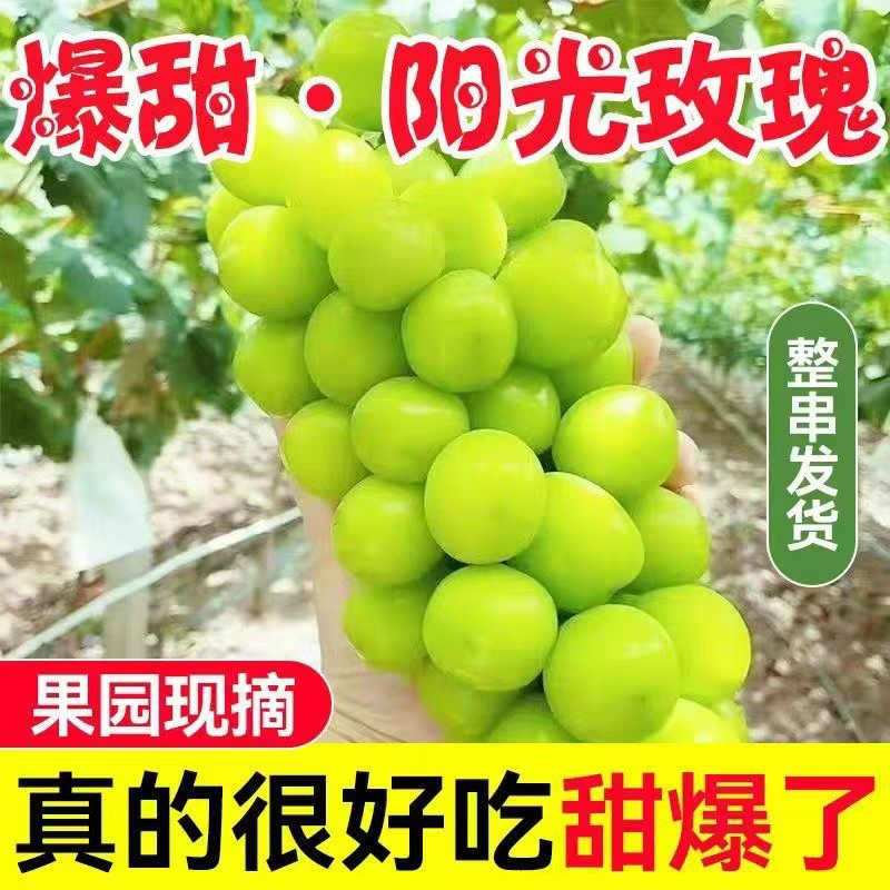 阳光玫瑰葡萄，甜度高，价格便宜个头大颗粒饱满，电商，超市