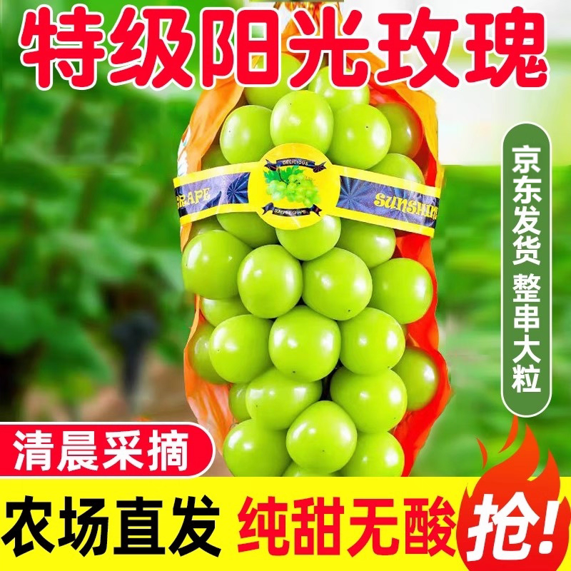阳光玫瑰葡萄，甜度高，价格便宜个头大颗粒饱满，电商，超市