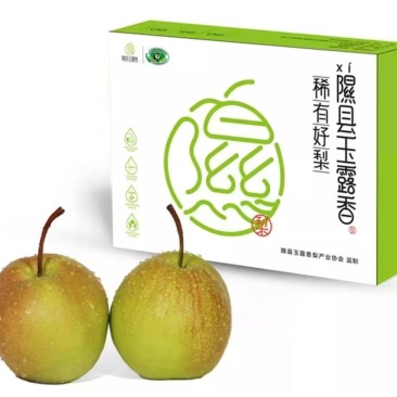 山西隰县玉露香梨