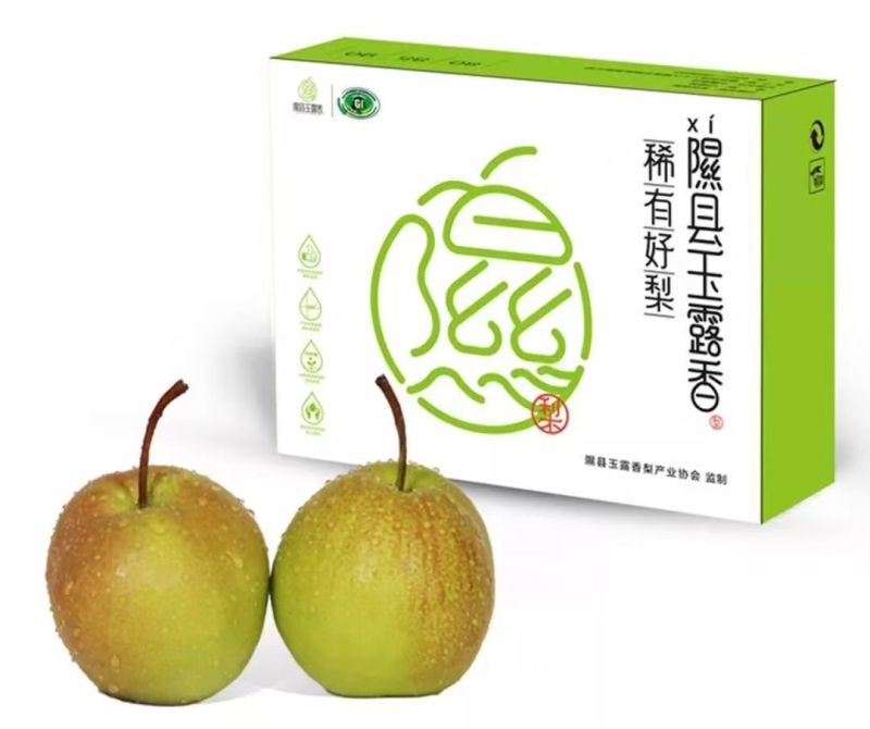 山西隰县玉露香梨
