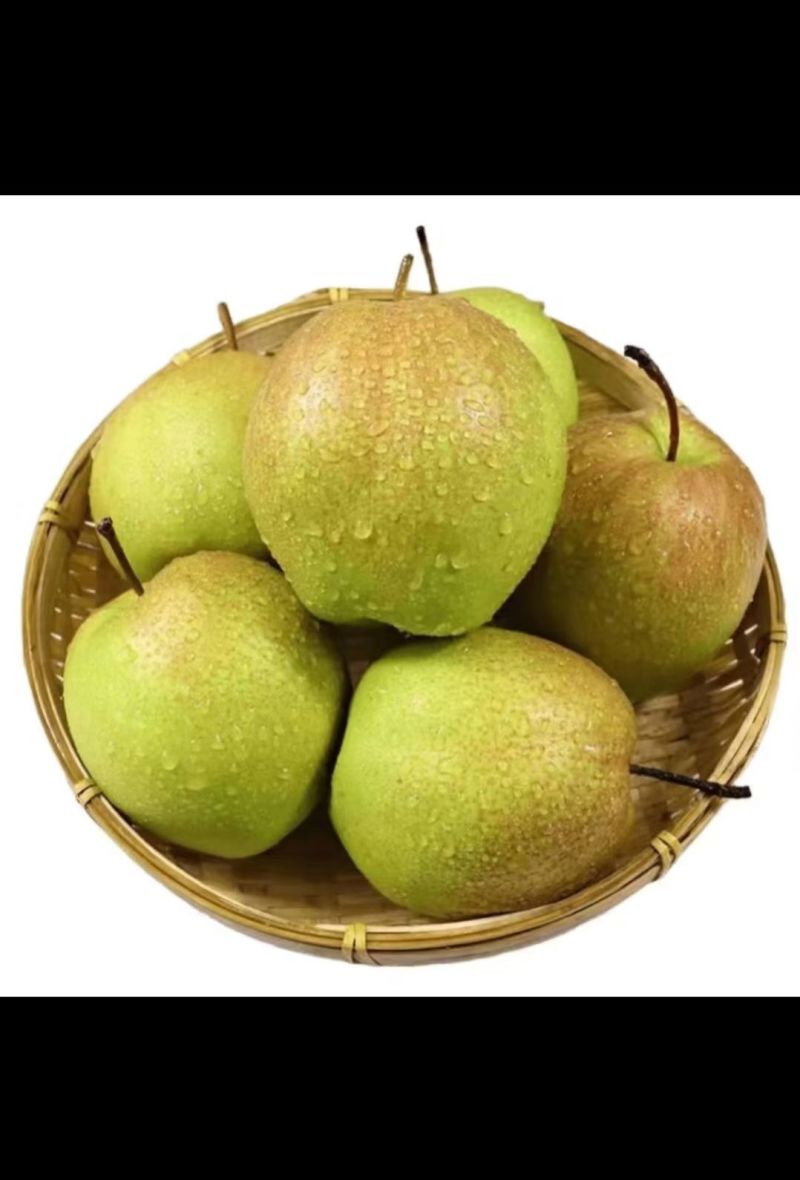 山西隰县玉露香梨