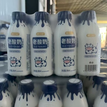 老酸奶