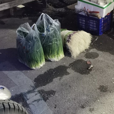 四季小葱