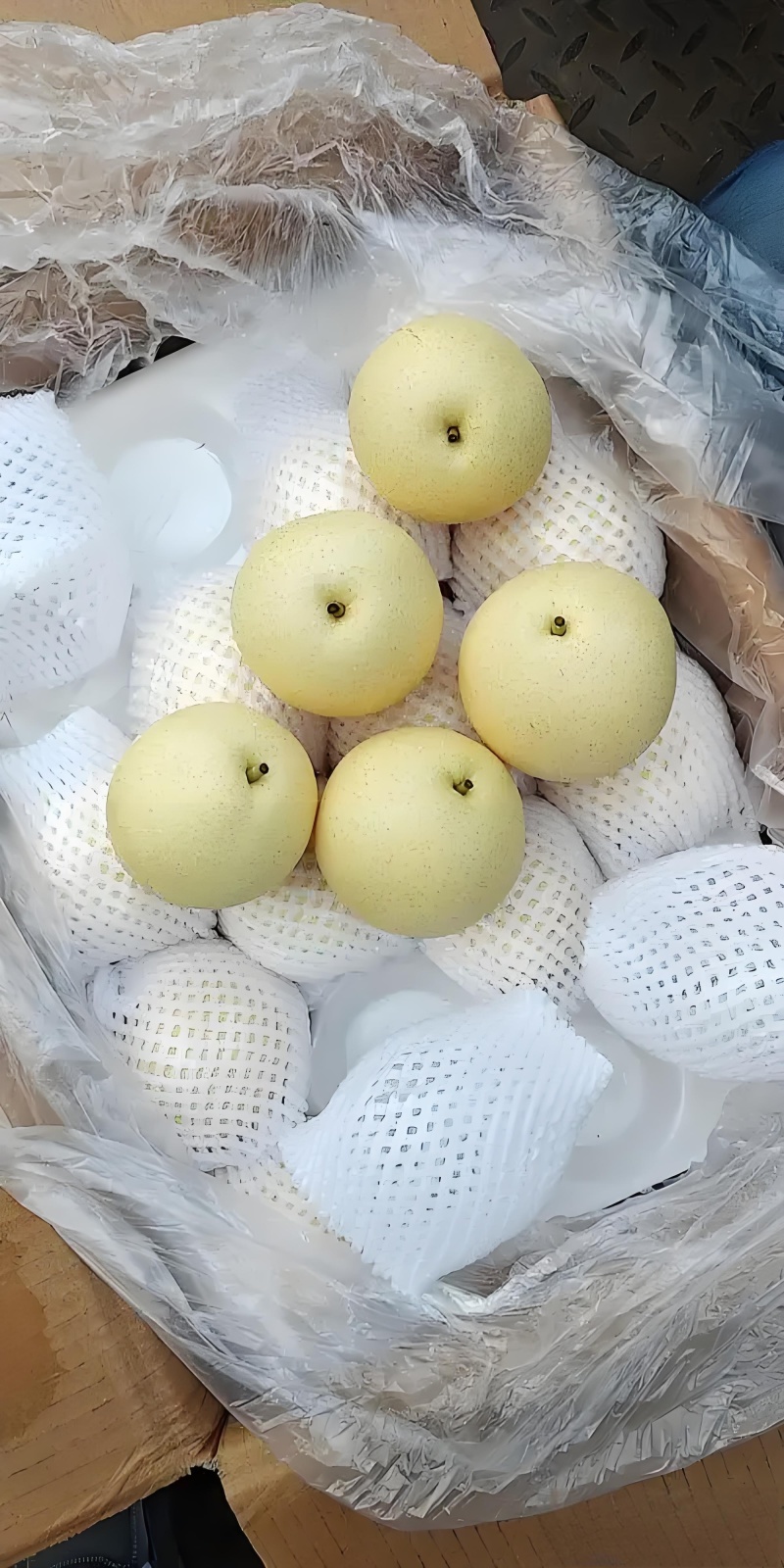 山西运城纸袋苏梨，口感甜脆，产地直供/保质保量全国发货