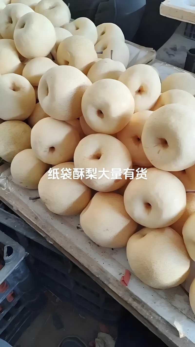 山西运城纸袋苏梨，口感甜脆，产地直供/保质保量全国发货