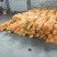 红心蜜柚