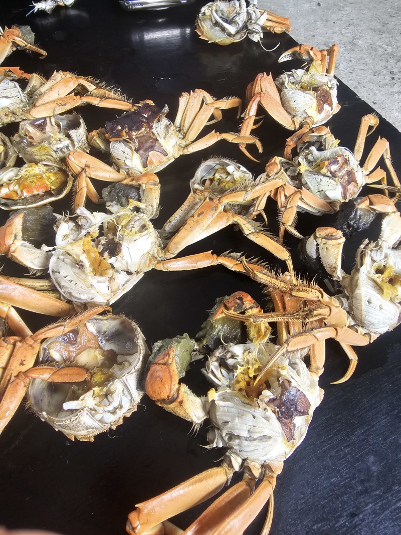 便宜螃蟹来啦大量有货
