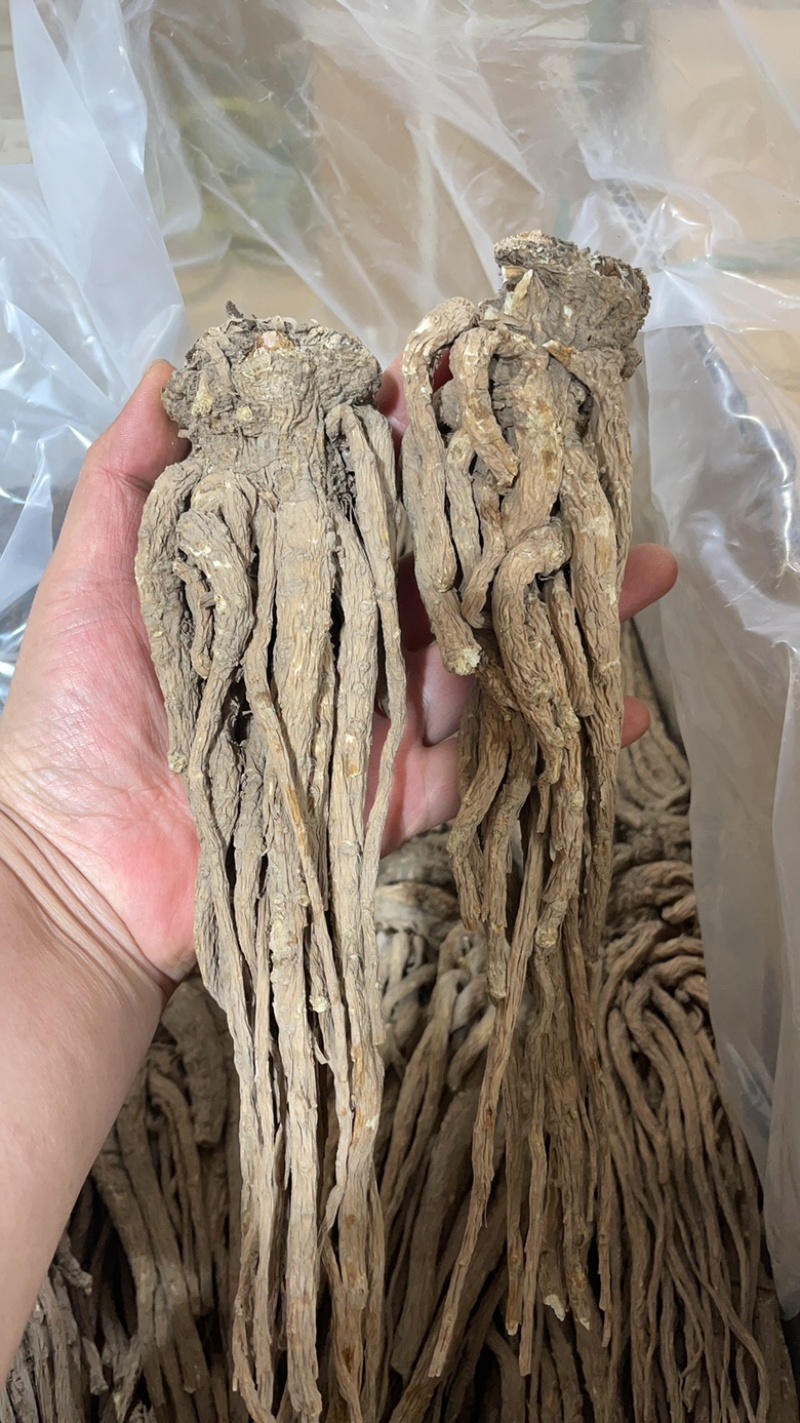 ￼无硫当归个子原装大中小一手货源长期供应