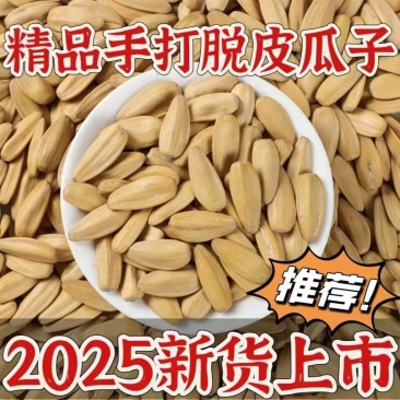 2025电商货五香瓜子电商货通货