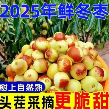 沾化冬枣，电商一件代发，抖音~拼多多~各大型仓储，万单
