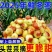 沾化冬枣~鲜枣~大枣对接各大电商平台，抖音拼多多，美团。