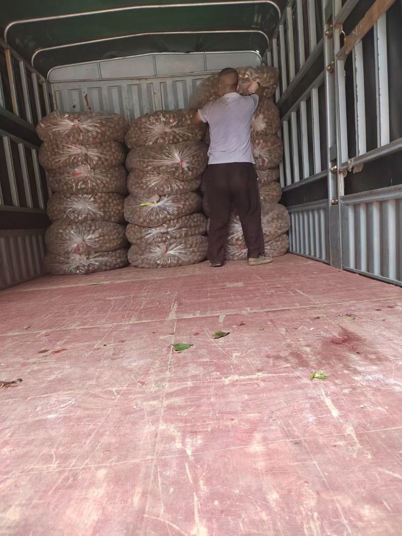 长期提供干罗汉果