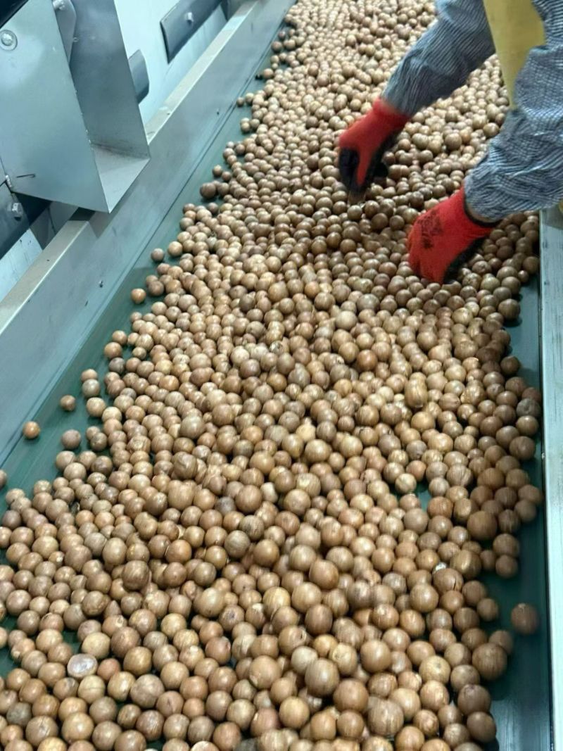 夏威夷果，电商一件代发！18-20起，全规格代发