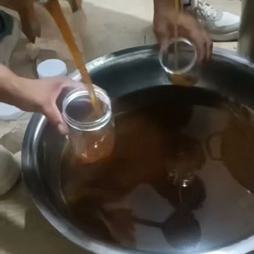 甘肃陇南土蜂蜜