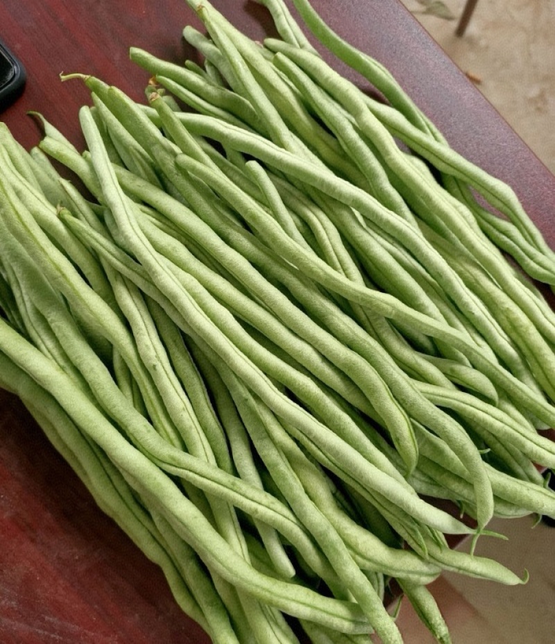 【精选】架豆王豆角&无筋豆/青豆角/基地直供/可全国发货