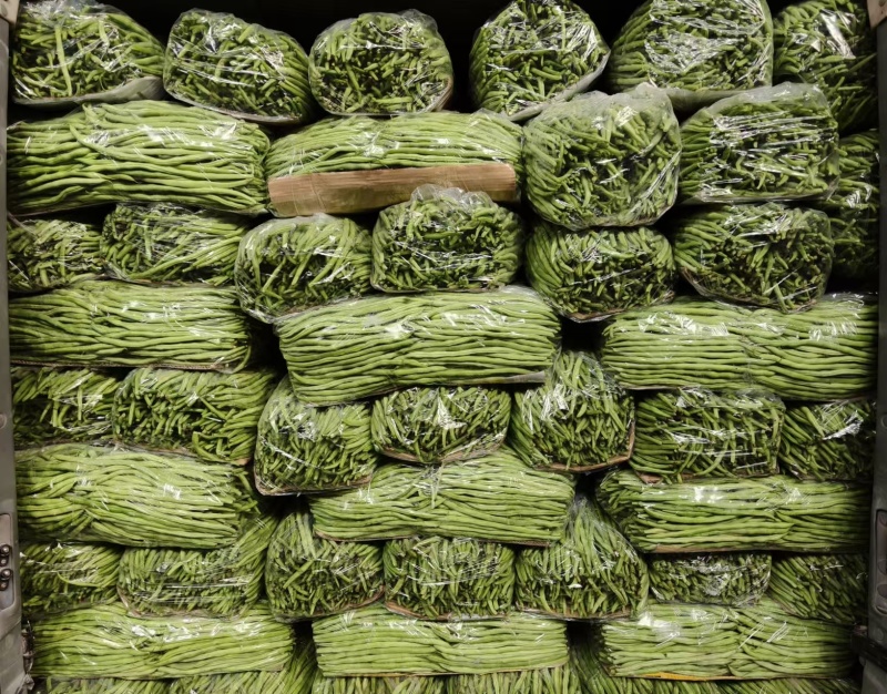 【精选】架豆王豆角&无筋豆/青豆角/基地直供/可全国发货