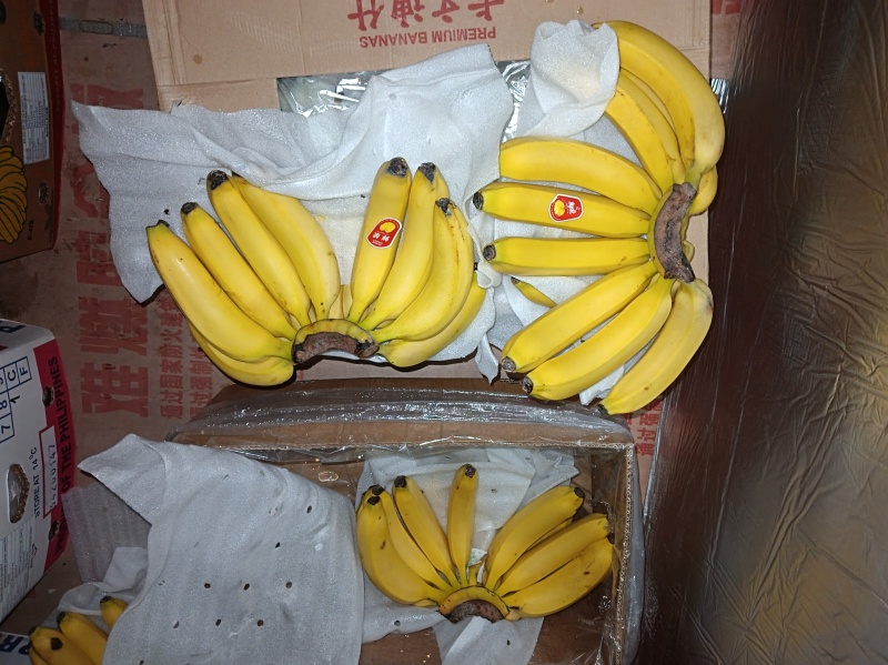 南充市嘉陵区国产香蕉批发