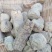 贵州灰豆腐