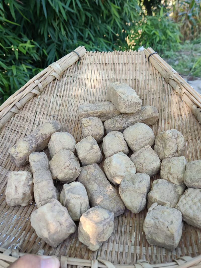 贵州灰豆腐